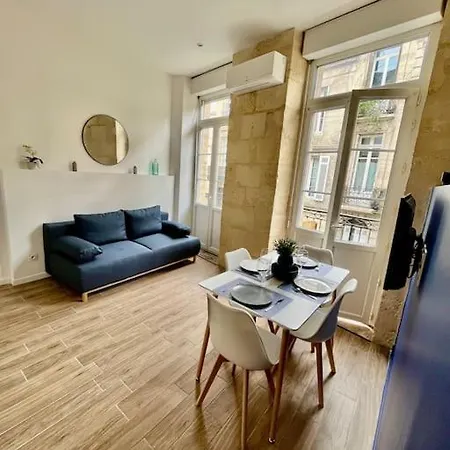 Apartman Climatise Au Coeur De Bordeaux